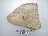 藏品(石料)的圖片